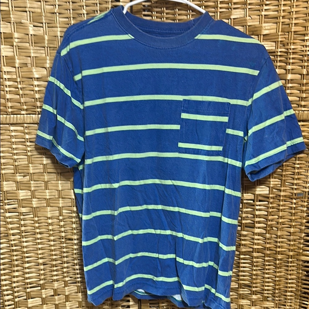 Blue and Green Striped T-Shirt
